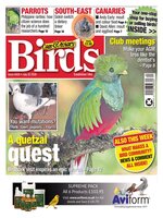 Cage & Aviary Birds